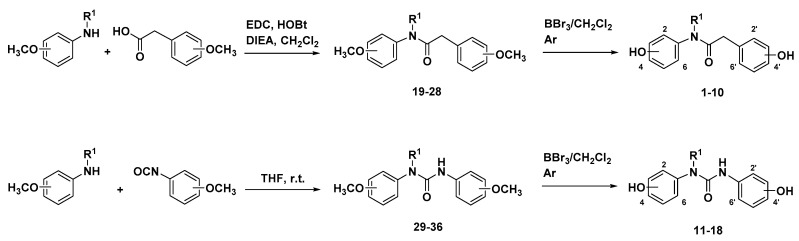 Scheme 1