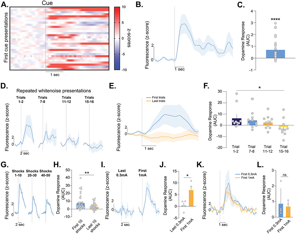 Figure 6: