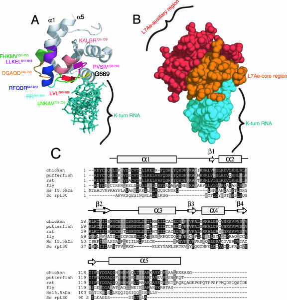 FIG. 6.