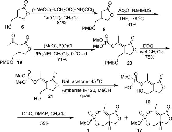 Scheme 5