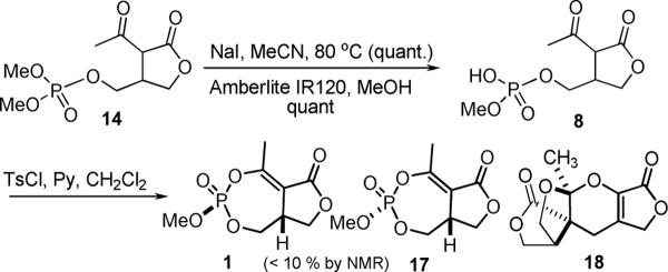 Scheme 4