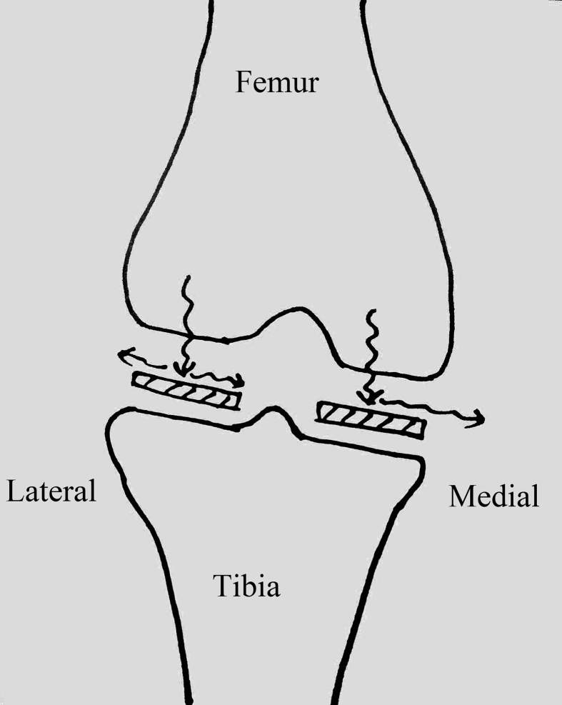 Fig. 3