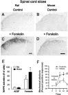 Figure 10.