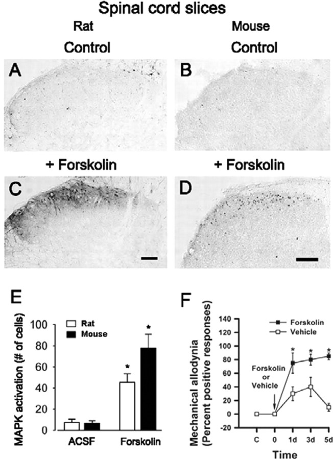 
Figure 10.
