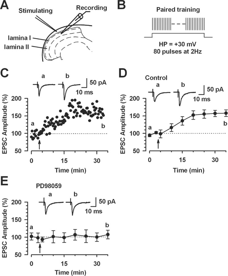 
Figure 11.
