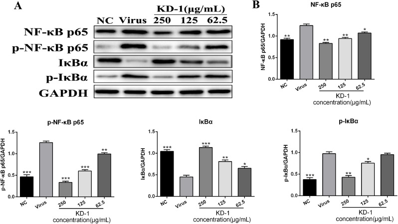 Fig 5