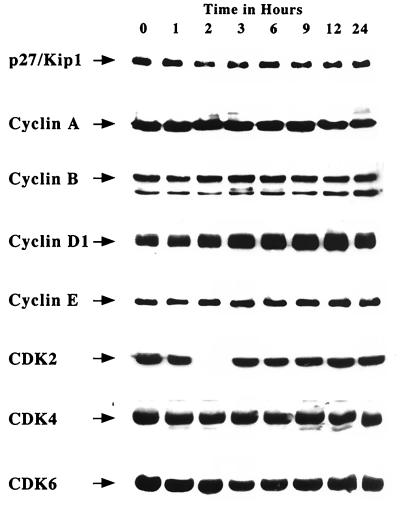 FIG. 7