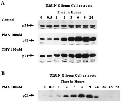 FIG. 6