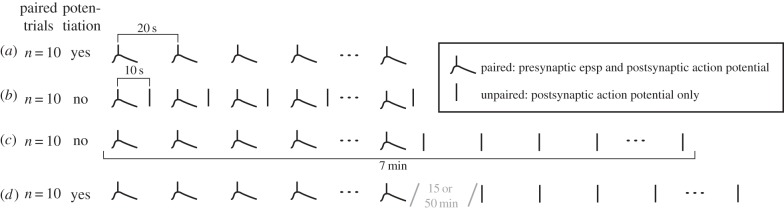 Figure 2.