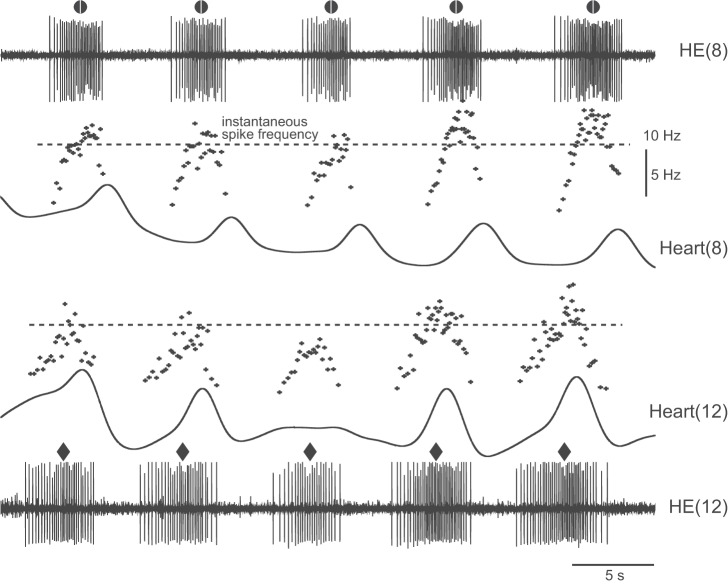 Fig. 10.