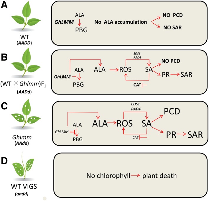 Figure 10.