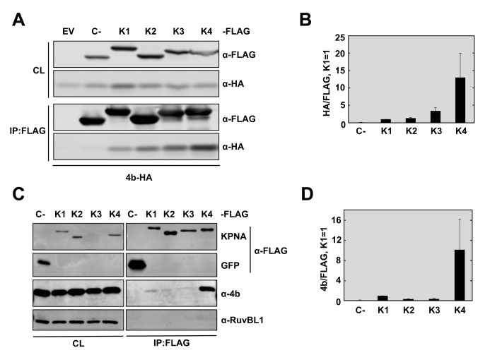 Fig 5