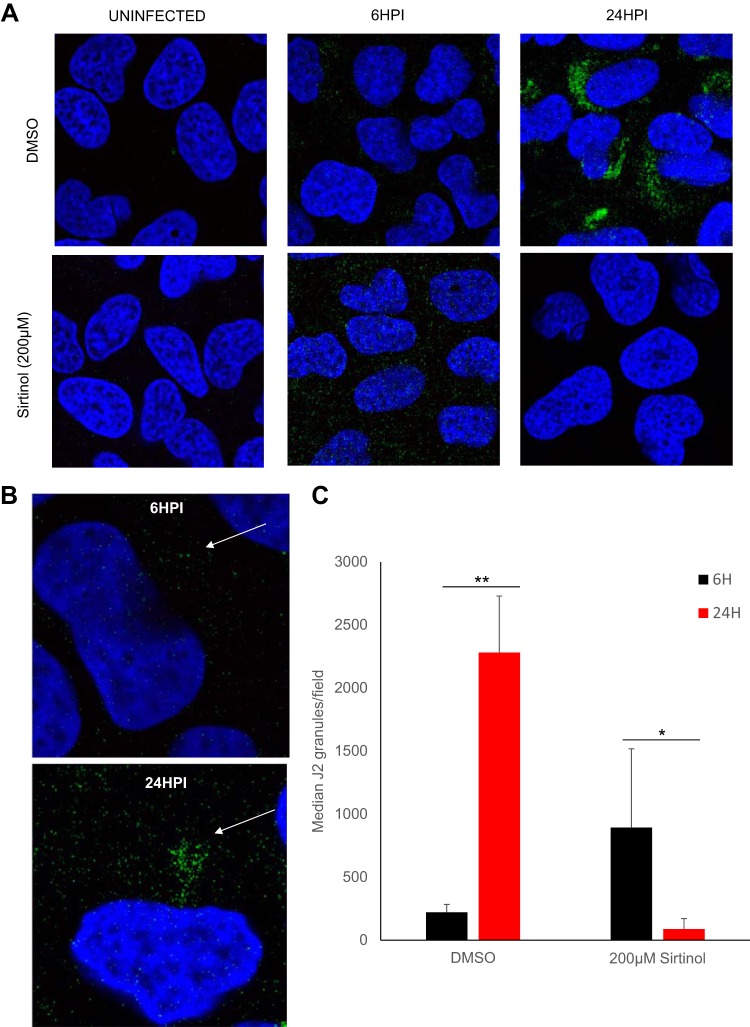 FIG 6