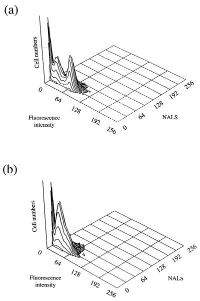 FIG. 6