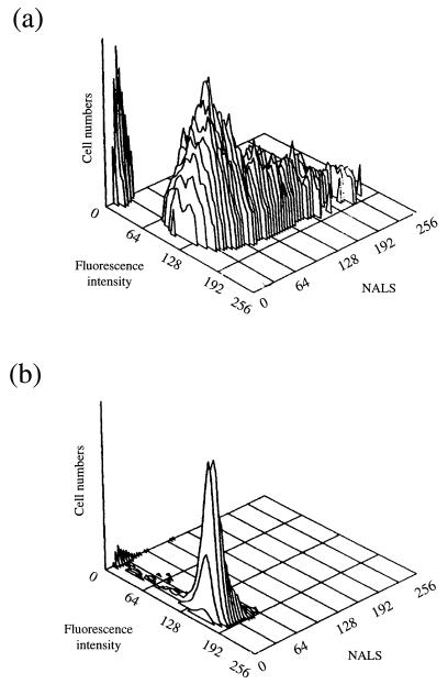 FIG. 5