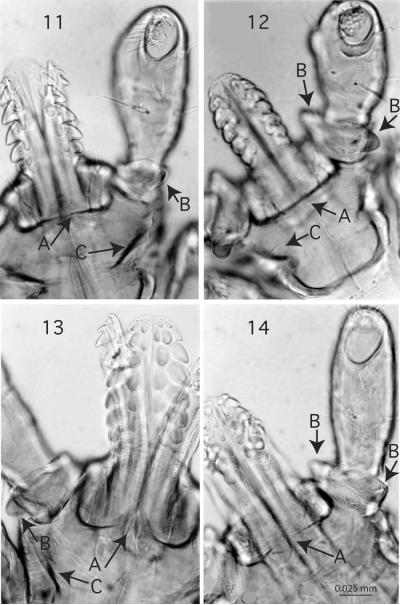 Figures 11-14