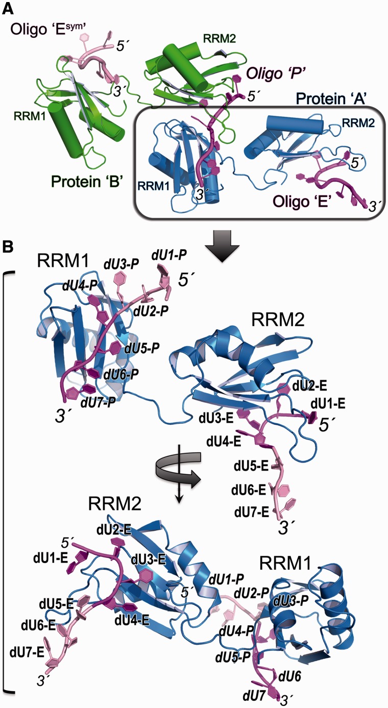 Figure 2.