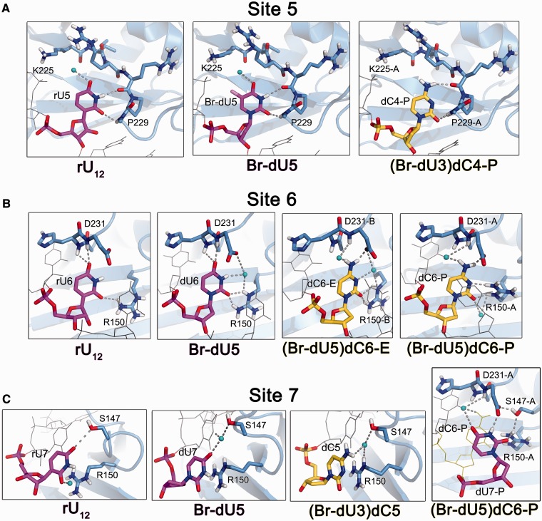 Figure 4.