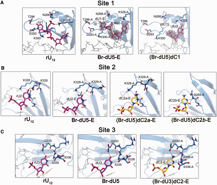 Figure 3.