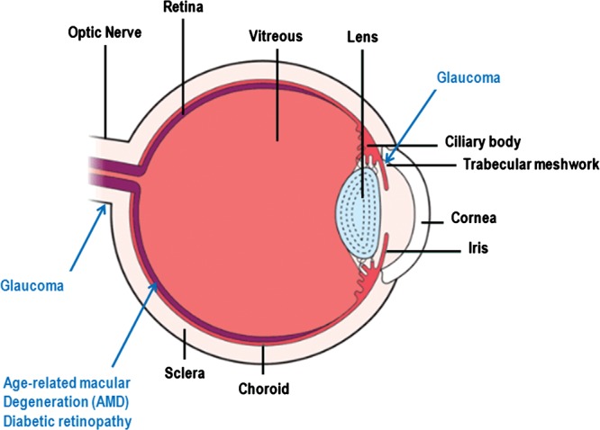 Figure 1.