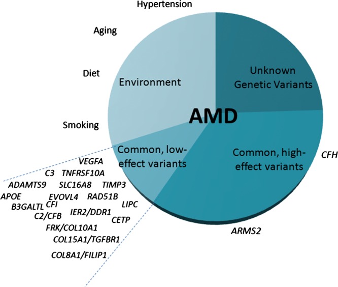 Figure 2.