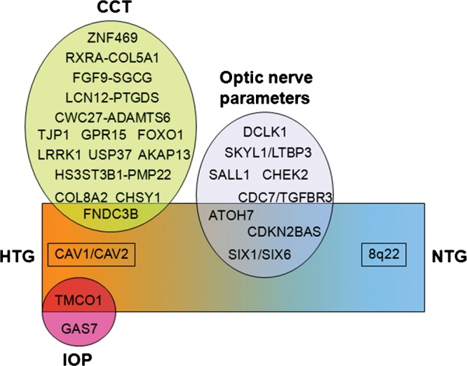 Figure 3.