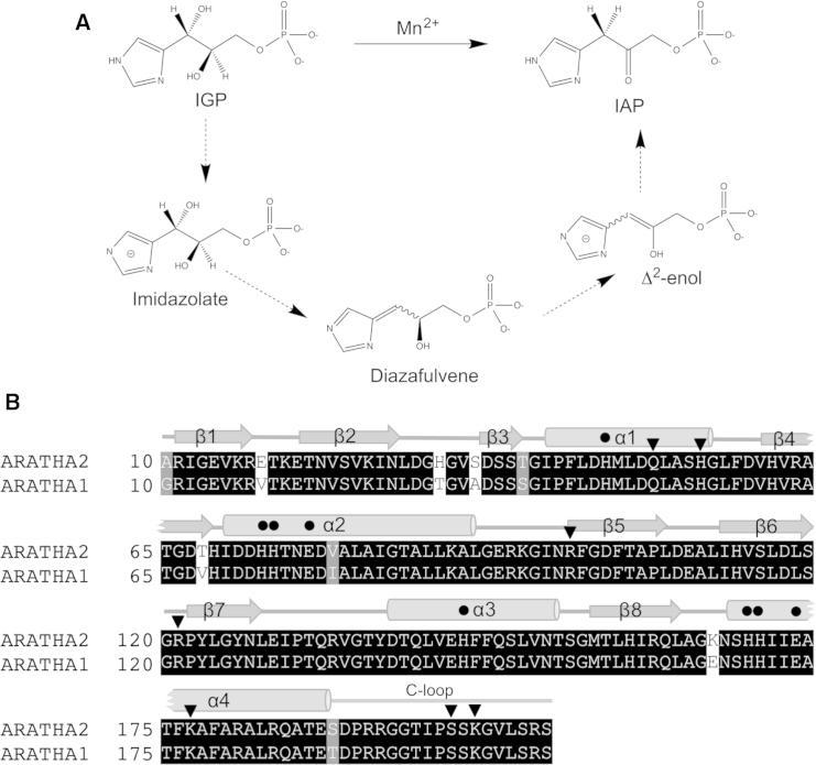 Figure 1