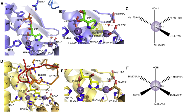 Figure 3