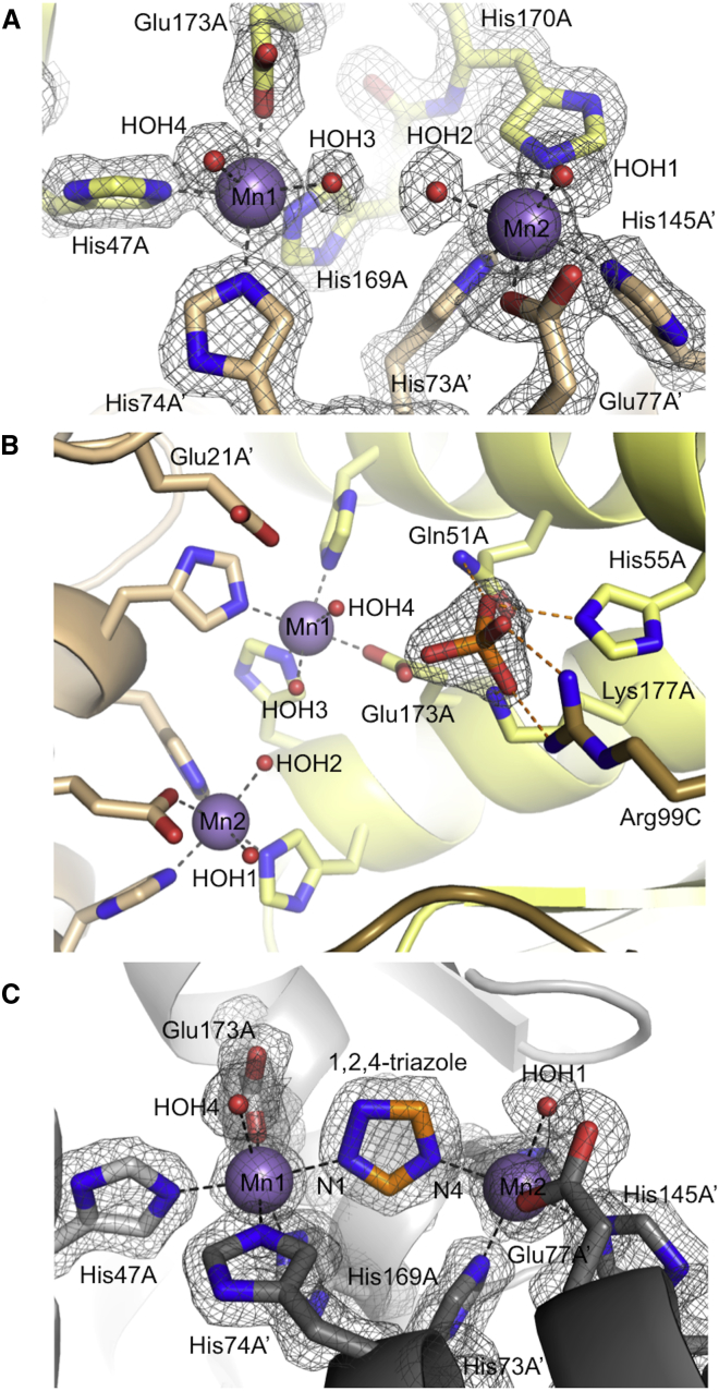 Figure 2