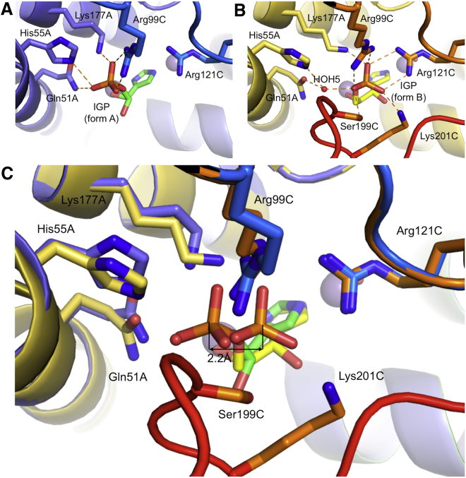 Figure 4