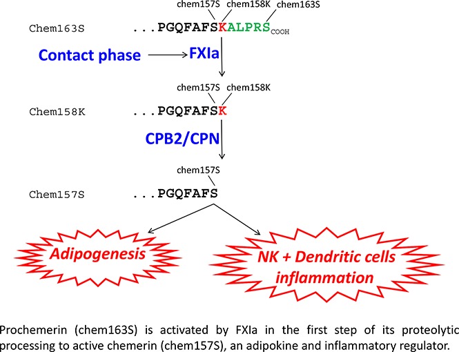 graphic file with name blood792580absf1.jpg