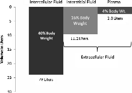 Figure 14.1