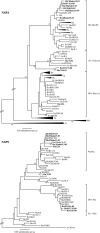FIG. 4.