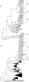 FIG. 2.