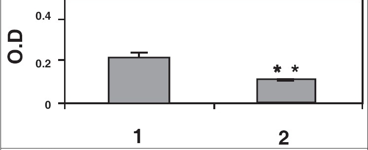 Figure 5b