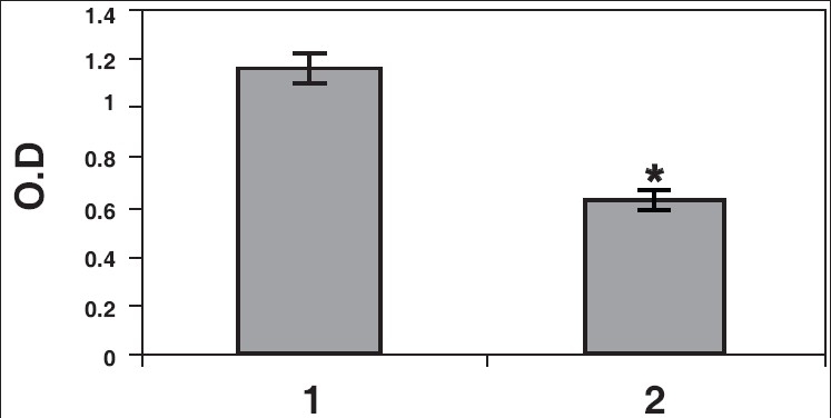 Figure 5a