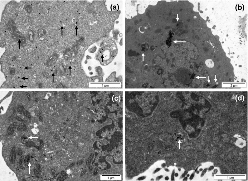 Fig. 12