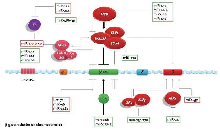 Fig.2