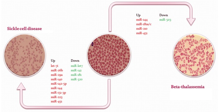 Fig.1