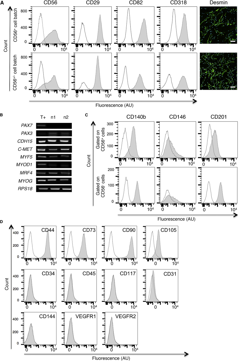 Figure 2