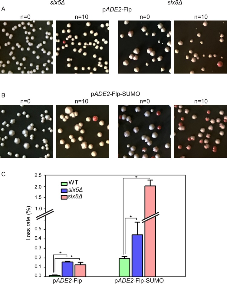 Fig 4