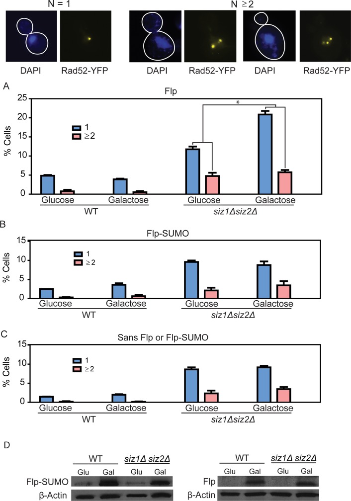 Fig 10