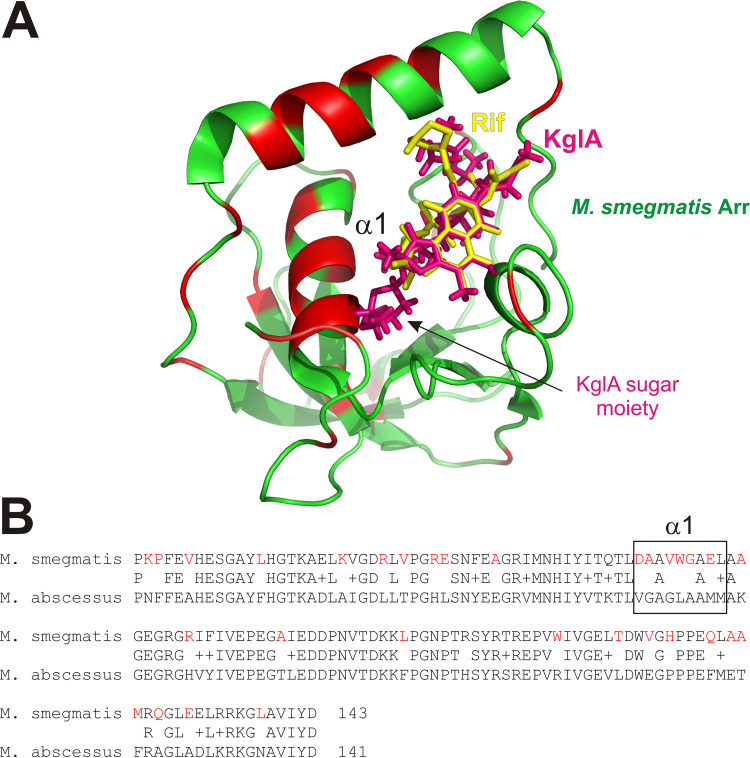 FIG 6