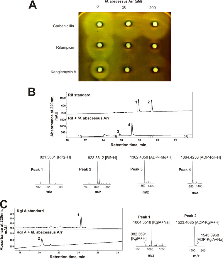 FIG 3