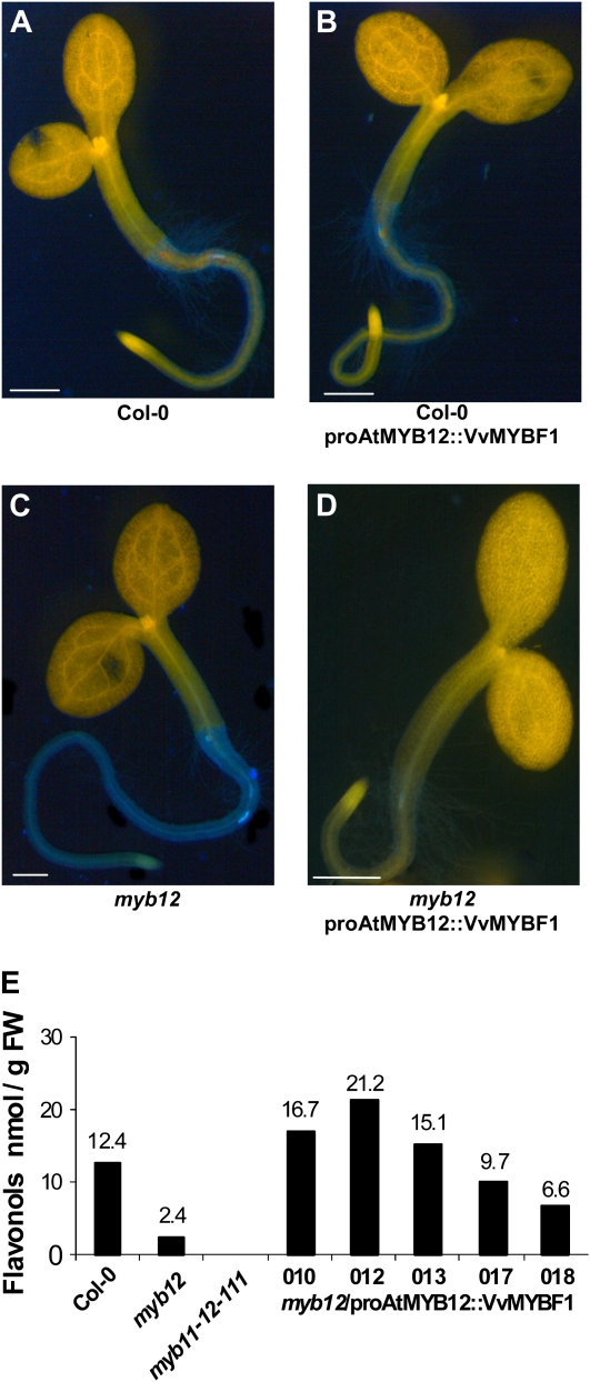 Figure 6.