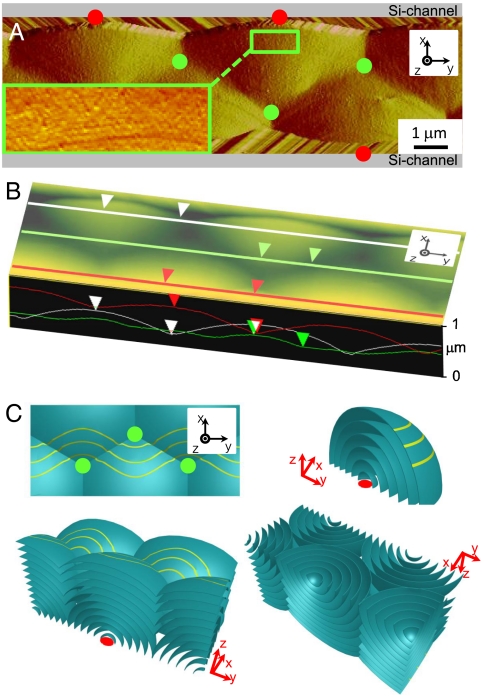 Fig. 4.