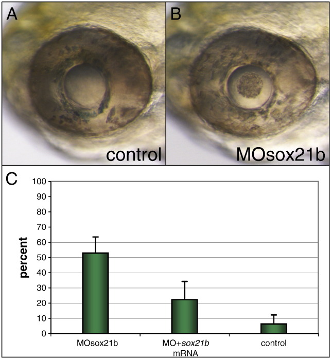 Fig. 4