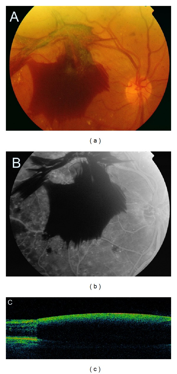 Figure 10