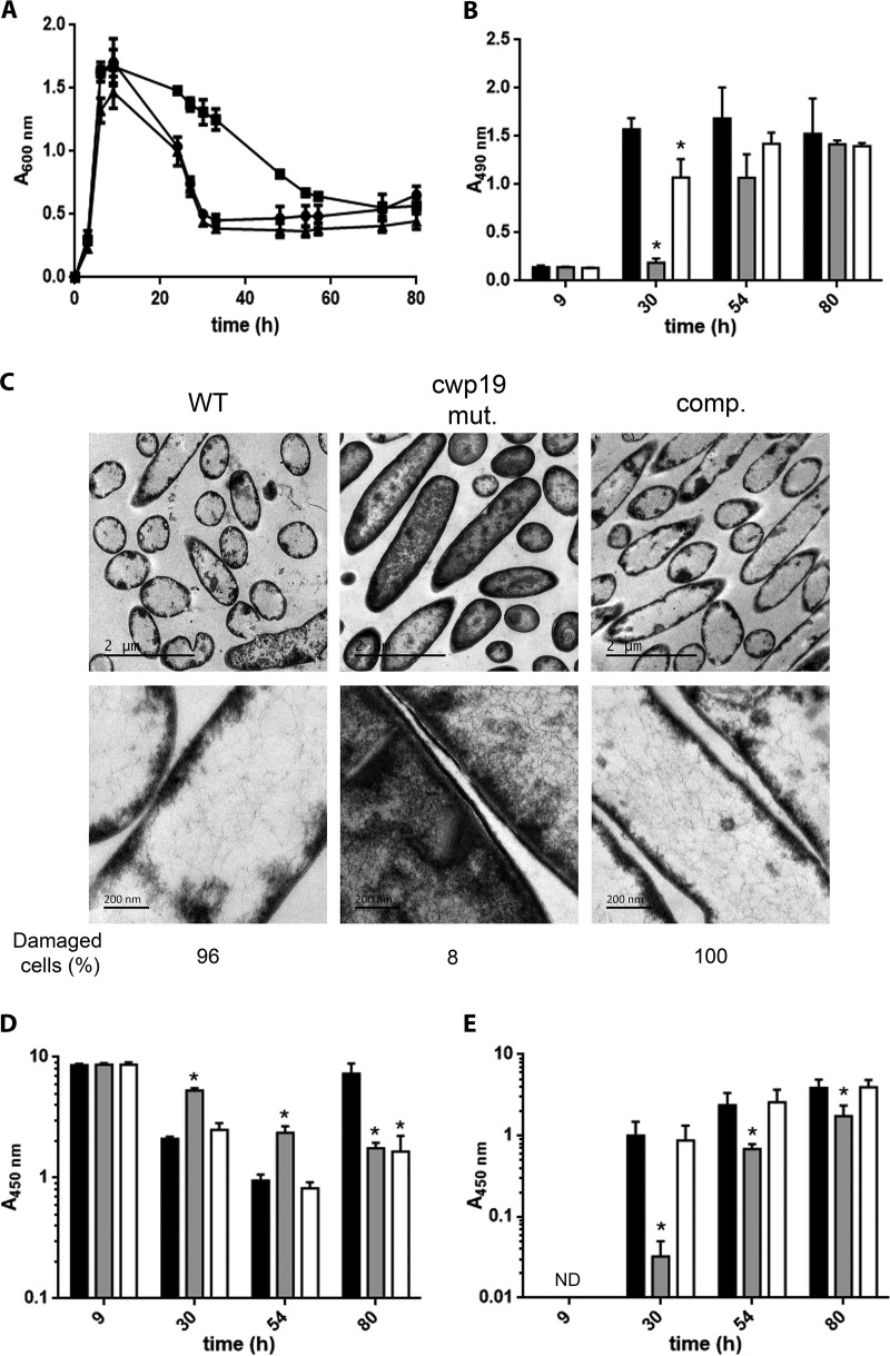 FIG 4 