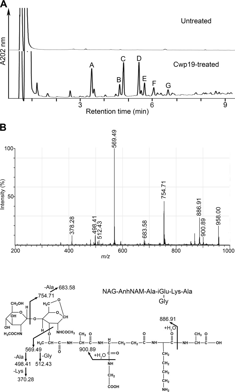 FIG 2 